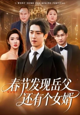 春节发现岳父还有个女婿海报