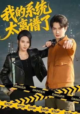 我的系统太离谱了海报