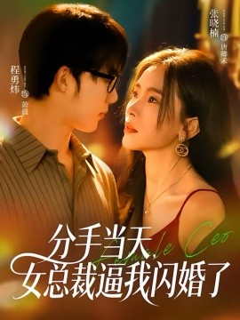 分手当天，女总裁逼我闪婚了海报