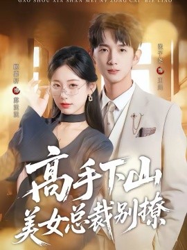 高手下山美女总裁别撩海报