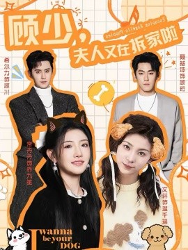 顾少，夫人又在拆家啦海报