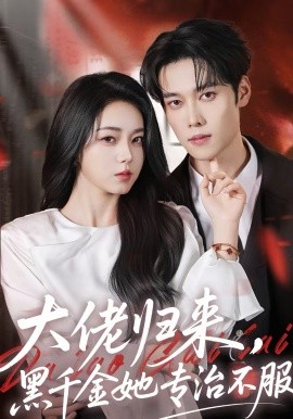 大佬归来，黑千金她专治不服海报