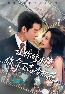 让你修水管，你拿下高冷校花海报