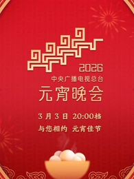2026年中央广播电视总台元宵晚会海报