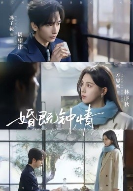 婚既钟情海报