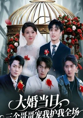 大婚当日，三个哥哥宠我护我全场海报