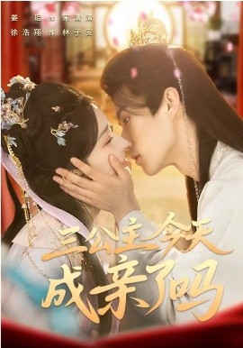 三公主今天成亲了吗海报