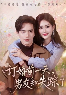 订婚前一天，男友却失踪了海报