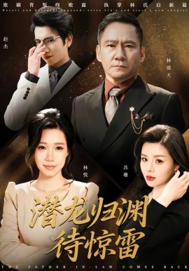 潜龙归渊待惊雷海报