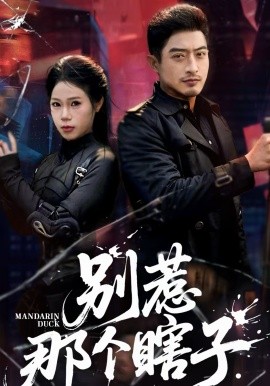 别惹那个瞎子海报