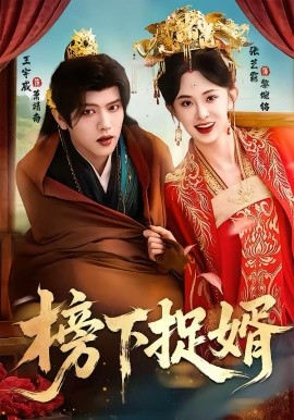 榜下捉婿海报