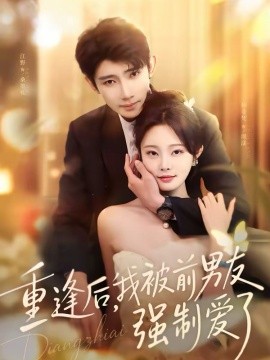 重逢后，我被前男友强制爱了海报