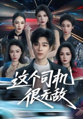 这个司机很无敌海报