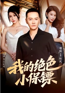 我的绝色小保镖海报