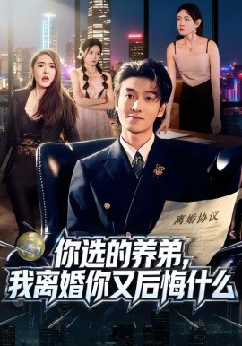 你选的养弟，我离婚你又后悔什么海报