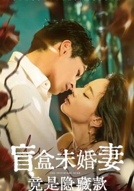 盲盒未婚妻竟是隐藏款海报