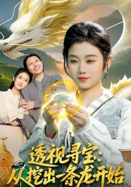 透视寻宝：从挖出一条龙开始海报