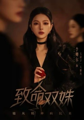 致命双姝：她从精神病院来海报