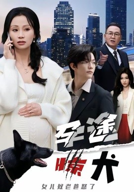 孕途惊犬，女儿奴老爸怒了海报