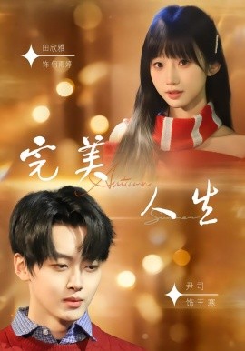 完美人生2026海报