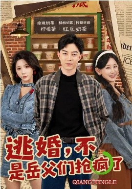 逃婚，不，是岳父们抢疯了海报