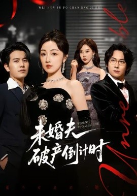未婚夫破产倒计时海报
