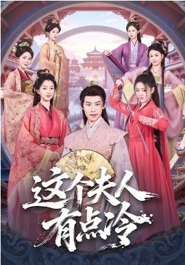 这个夫人有点冷海报