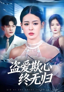 盗爱欺心终无归海报