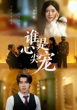 谁是心尖宠海报