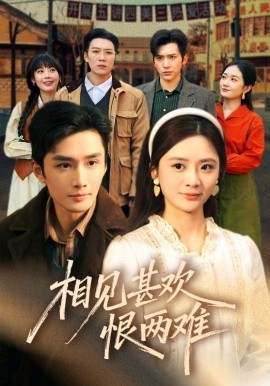 相见甚欢恨两难海报