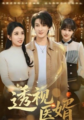 透视医婿海报