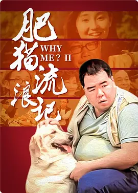 肥猫流浪记[电影解说]海报