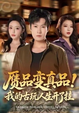 赝品变真品！我的古玩人生开了挂海报