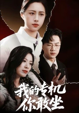 我的专机你敢坐海报