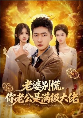 老婆别慌，你老公是满级大佬海报