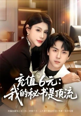 充值6元：我的秘书是顶流海报