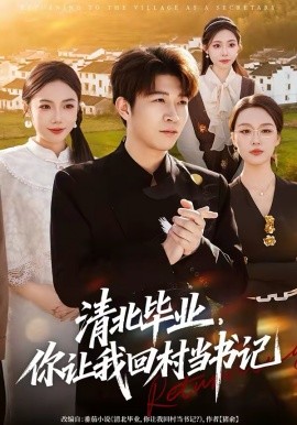 清北毕业，你让我回村当书记海报