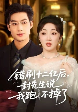 错刷十二亿后，封先生说我跑不掉了海报