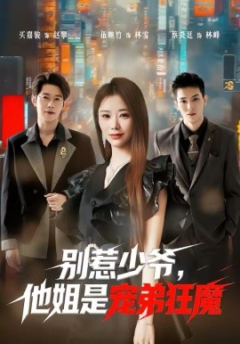 别惹少爷，他姐是宠弟狂魔海报