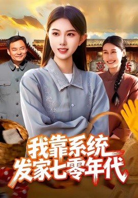 我靠系统发家七零年代海报