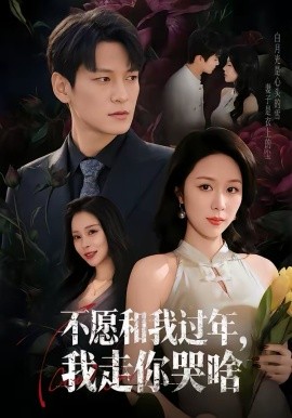不愿和我过年，我走你哭啥海报