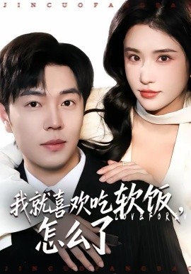我就喜欢吃软饭，怎么了海报