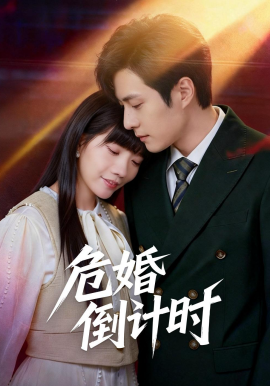 危婚倒计时海报