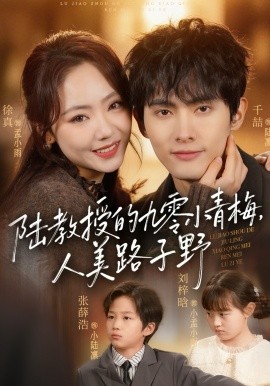 陆教授的九零小青梅，人美路子野海报