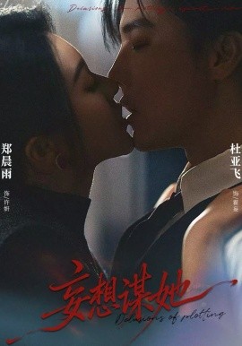 妄想谋她海报