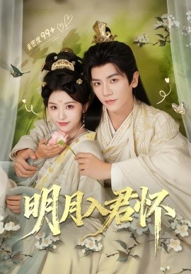 明月入君怀海报
