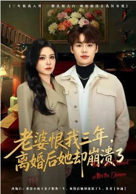 老婆恨我三年，离婚后她却崩溃了海报