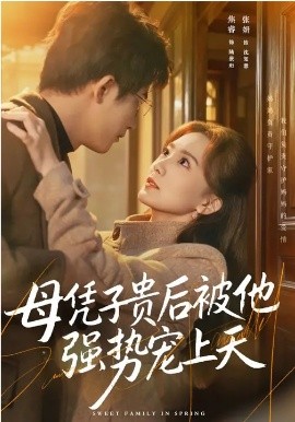 母凭子贵后被他强势宠上天海报