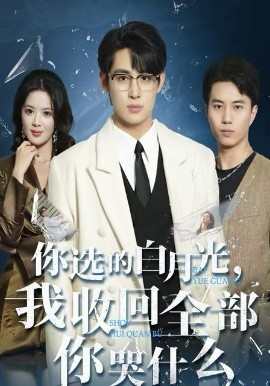 你选的白月光，我收回全部你哭什么海报