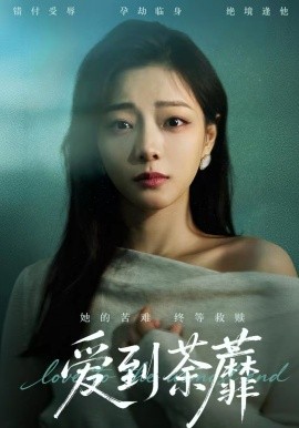 爱到荼蘼海报